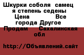 Шкурки соболя (самец) 1-я степень седены › Цена ­ 12 000 - Все города Другое » Продам   . Сахалинская обл.